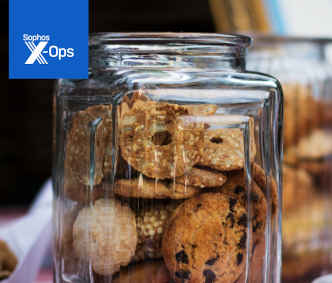 Illegaler Zugang zu Unternehmensdaten: Cookie-Klau ist zunehmend im Trend
